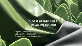 Sustainability win: Mercedez-Benz & Tesla swap to "prickly pear" interiors (New "bio-based" VEGAN Leather)