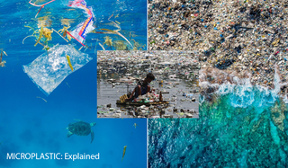 microplastics our environment ocean toxic chemicals sustainable brands