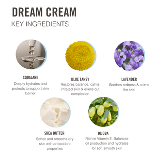 Dream Cream moisturiser